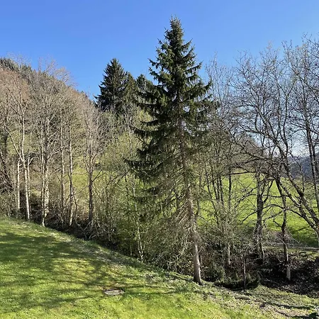 Apartmán Mit Swimmingpool Und Aussicht 15 Missen-Wilhams