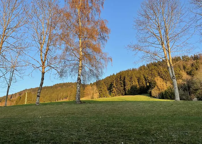 شقة Mit Swimmingpool Und Aussicht 15 *